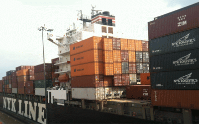 Memilih Ventilated Container Terbaik untuk Bisnis Kopi dan Tanaman
