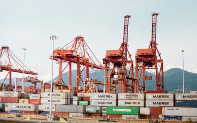 Ini Alasan Wajib Beli Reefer Container untuk Pebisnis