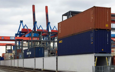 Kenapa Wajib Reefer Kontainer untuk Pengusaha Grosir