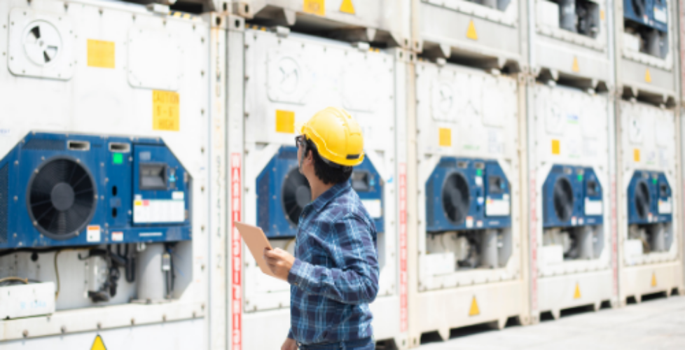 sewa kontainer reefer baru