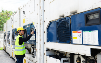 Jual Container Pendingin Bekas – Jual Reefer Container Second