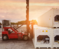 sewa container pendingin