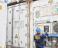 harga container pendingin