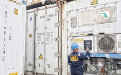 HARGA CONTAINER PENDINGIN | JUAL REEFER CONTAINER DAN SEWA