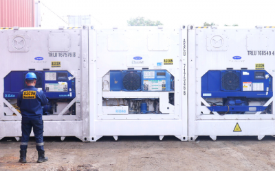 Tempat Beli Container Reefer Murah untuk Bisnis