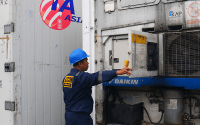 Harga Kontainer Pendingin Murah – Jual Reefer Container Jakarta