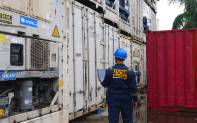 Kontainer Bekas Harga Murah Kualitas Terbaik dari Depo Resmi