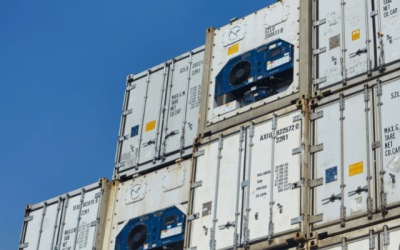 Cara Kerja Reefer Container – Kontainer Berpendingin untuk Bisnis