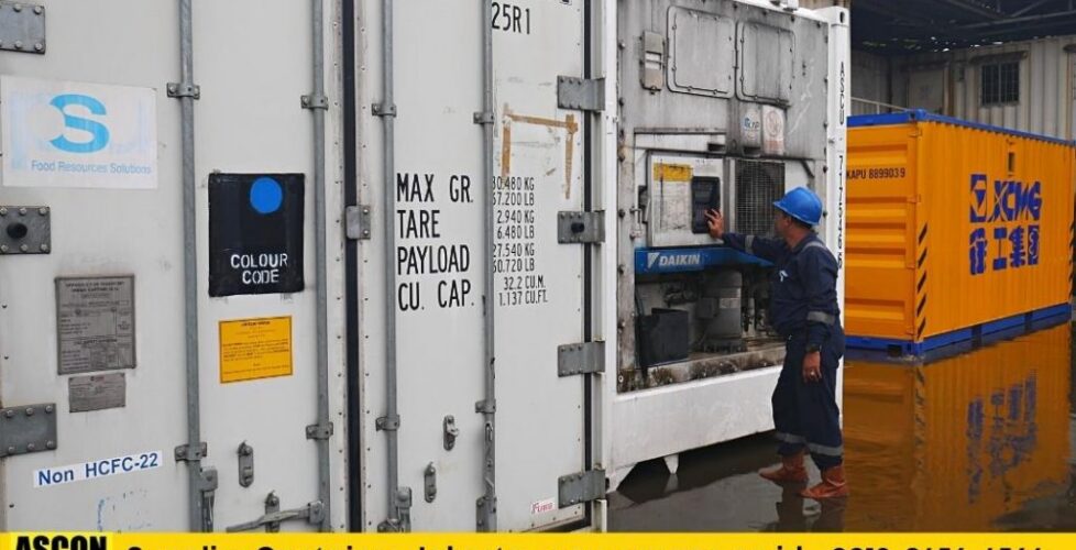 jual container reefer bekas