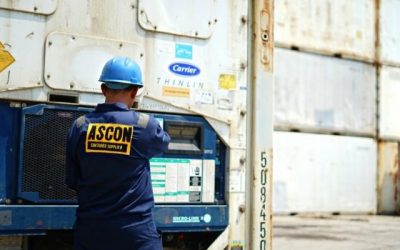 Cek Harga Container Pendingin 40 Feet dan 20 Feet Termurah Disini!
