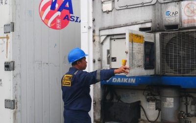 Dapatkan Harga Container Pendingin 20 Feet dan 40 Feet Termurah Disini!
