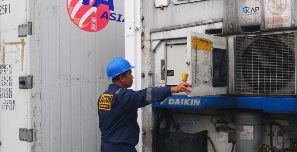 harga container pendingin 20 feet