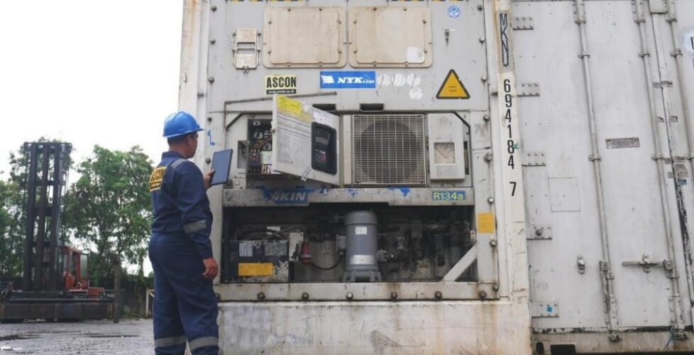 jual container pendingin baru