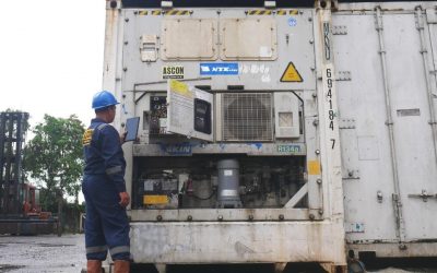 Jual Container Pendingin Baru dan Second Bisa Antar ke Tempat Anda!   