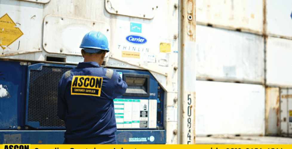 tempat beli container reefer