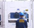 sewa container berpendingin bulanan