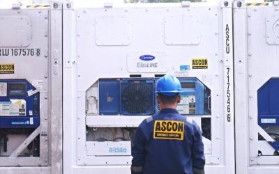 Sewa Container Berpendingin Bulanan & Tahunan Murah Langsung Pakai