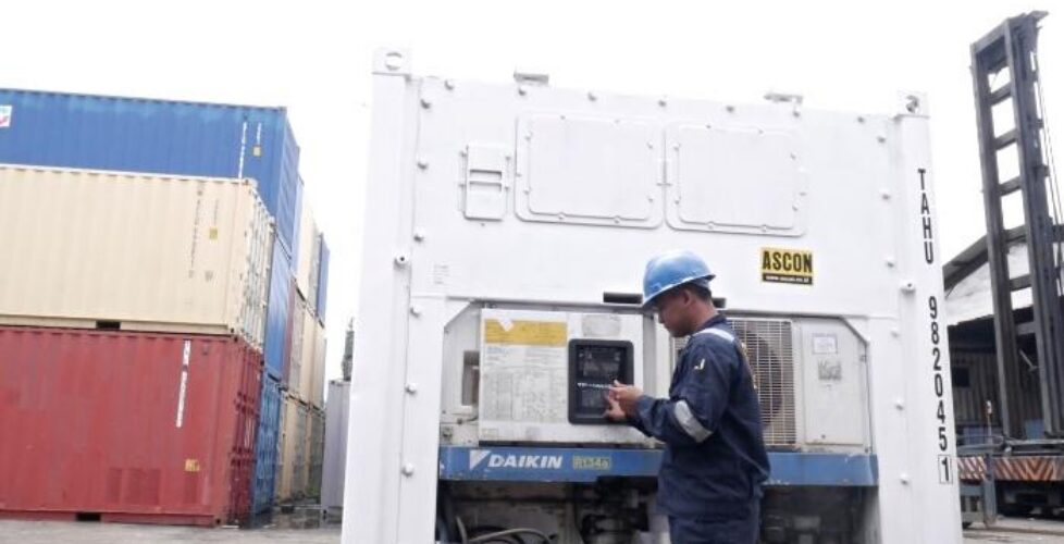tempat beli container pendingin