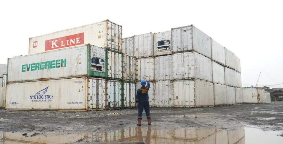 jual peti kemas pendingin jakarta