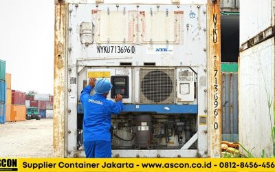 Jual Peti Kemas Pendingin Murah untuk Pengiriman Cargo Mudah Rusak
