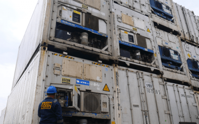 Supplier Chiller Container Jakarta Utara, Ready untuk Rental dan Jual