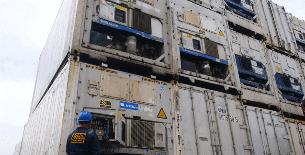 chiller container jakarta