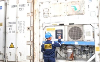 Jual Chiller Container Bekas dan Reefer Container Baru   