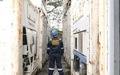 Jual Container Pendingin Murah Kondisi Baru dan Second   
