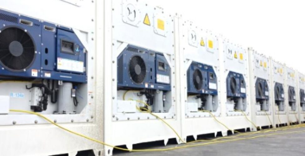 reefer container harga